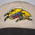 Kirin Ichiban 2025 Merch Hat Detail 1