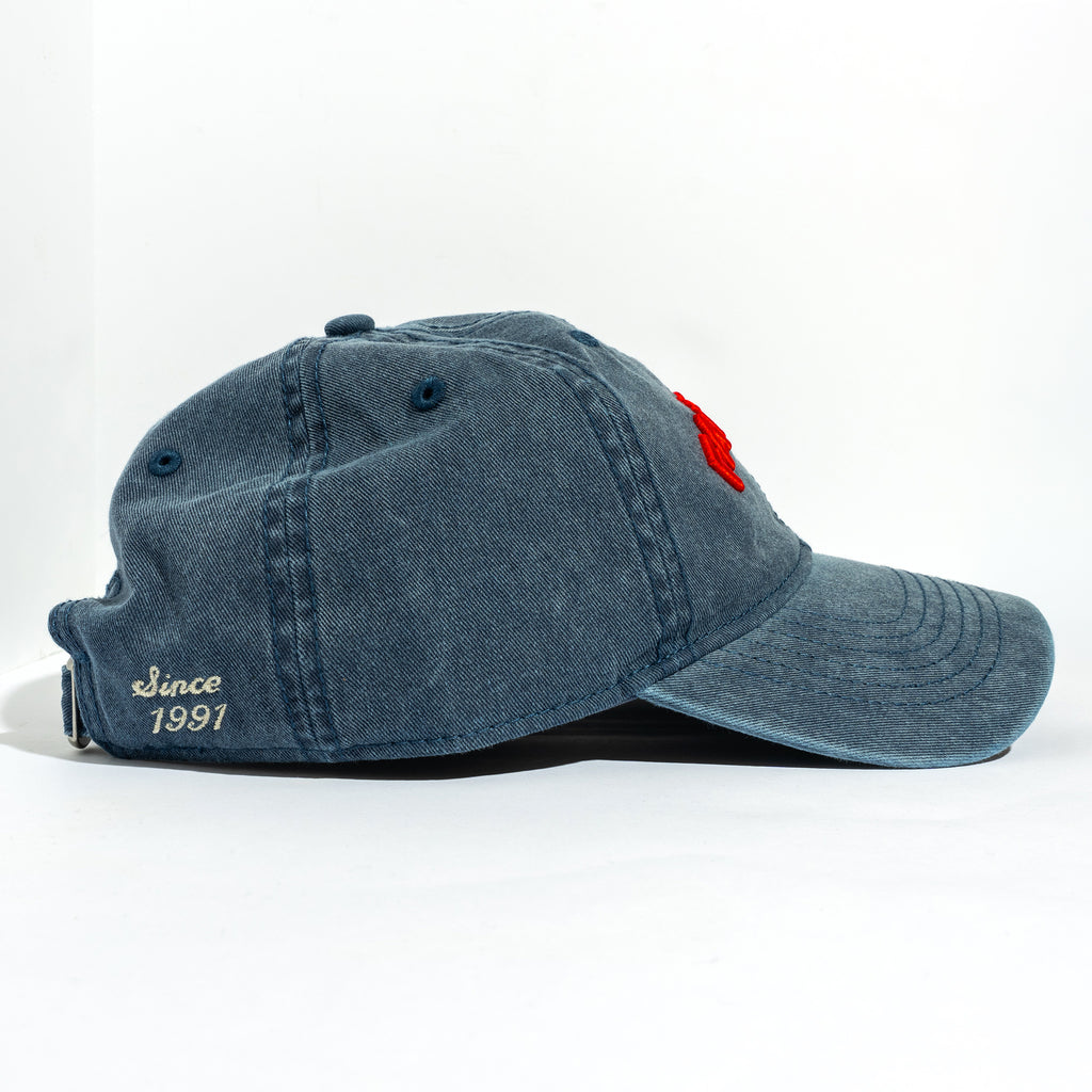 Fat Tire Navy "Dad" Hat