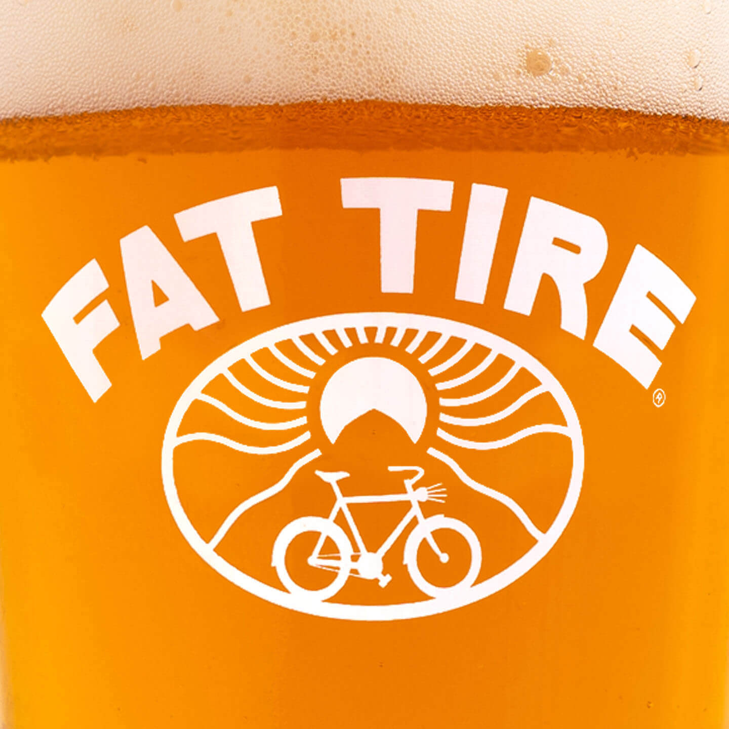 nbb 2024 TH fat tire pint glass front close