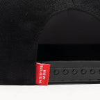 newbelgium merch 2022 mammoth nbb hat IMG 4